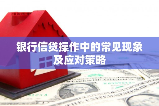 清涧银行信贷操作中的常见现象及应对策略