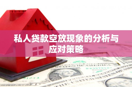 南溪私人贷款空放现象的分析与应对策略