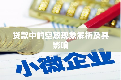 武定贷款中的空放现象解析及其影响