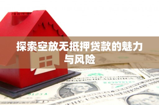 武定探索空放无抵押贷款的魅力与风险