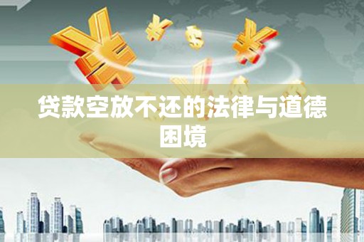 武定贷款空放不还的法律与道德困境