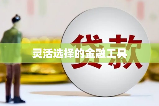 武定灵活选择的金融工具