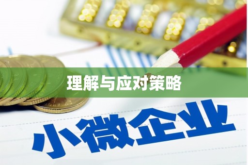 企石理解与应对策略