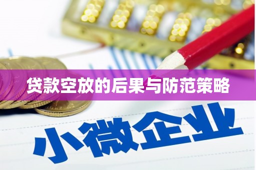 武定贷款空放的后果与防范策略