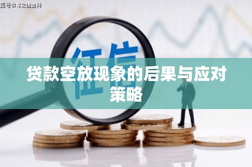 四湖贷款空放现象的后果与应对策略