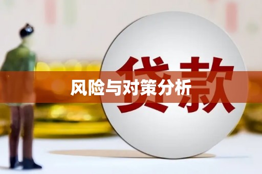 辽源风险与对策分析