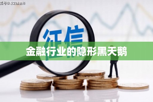 西丰金融行业的隐形黑天鹅