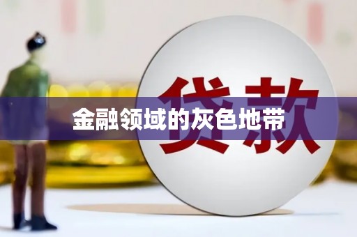 西丰金融领域的灰色地带