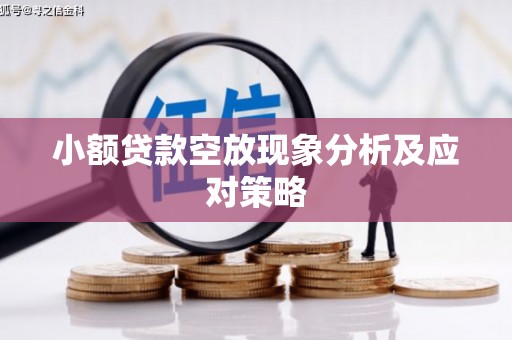 德兴小额贷款空放现象分析及应对策略