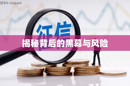 务川揭秘背后的黑幕与风险