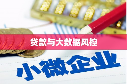 隆昌贷款与大数据风控