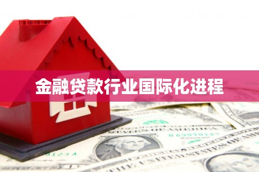 源汇金融贷款行业国际化进程