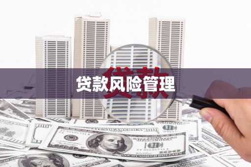 竹溪贷款风险管理