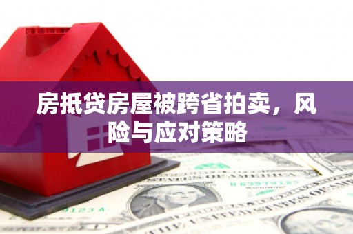 竹溪房抵贷房屋被跨省拍卖，风险与应对策略