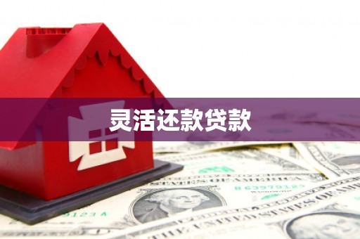 江陵灵活还款贷款